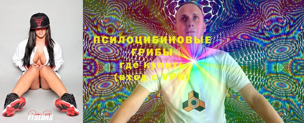 герыч Пересвет