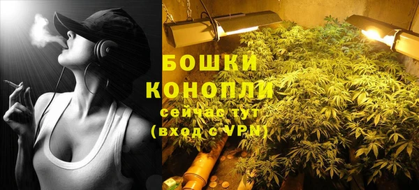 дмт Пестово