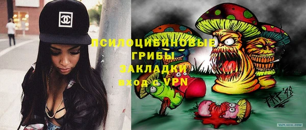 герыч Пересвет