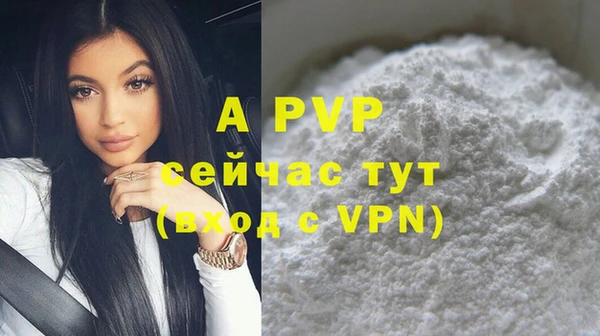 дмт Пестово
