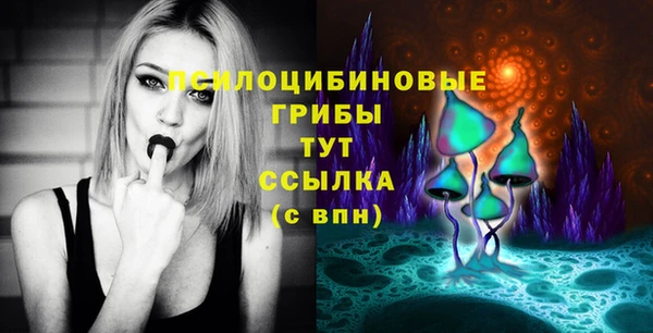 герыч Пересвет