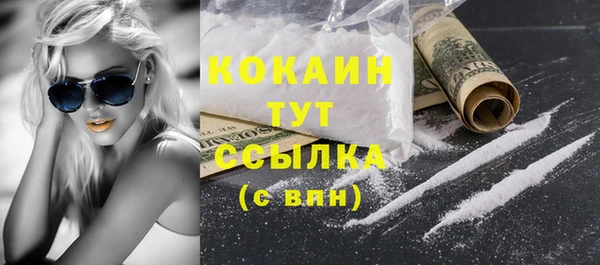 дмт Пестово